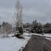 9a082d212e4fd98775513e27693ae0bb