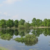 a1f94b65a646d756be0cc2fb42e955bf