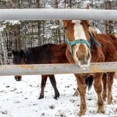 a74a7acf5838980d8752a8bbe1215042