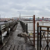 a9be766c123c6b8246f600cd03f99f1c