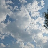 b0332ec4acd84a9d8618933f4ba36e9f