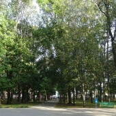 b1286e0b102bf45fb243c5cc491e52a8