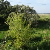 b2f100187f86441f9933aabeba2f7c61