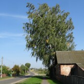 b4ebc6e440e6cec97e89c2ba5b7b2fd7