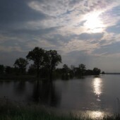 b6e4a6a39e949544b8aab17889edad3e