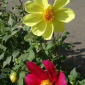 bb54ba0ba67236bb99b00a62c65127af