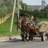 bca367b4f01f5babfea1b26e619cbdc7