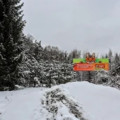 c4409a47130f460ce8668cd2de46fca2