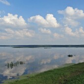 c7aa40f41fbcb15bf6d801e3df9a4d6d