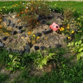 cb9c9ed71c21d5901f8b85094f276312