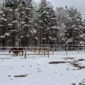 cd541ddc4bb1c0f5d8019592e2386cd9