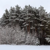 cea186a12f57086ad90651b77136cc43