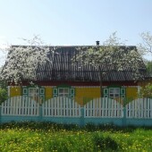 d4193ad49c454fd16dd9331499f37503