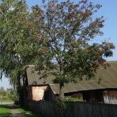 d9063cc320b331706b0a80c47da12342