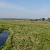 d95bbcdf9ab8c1371bcca461721aa177