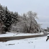 ded78407ad9f0b5088b61d6130fe2695