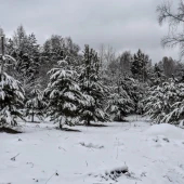 e2542a579baff4ab5abdfa67c99e98fd