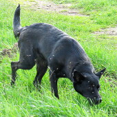 e26de12c8224b95f463908e3e734f4f7