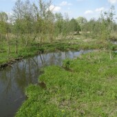 e44be3fdda92d55362831f739af84ed4