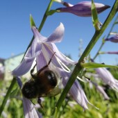 f32b0b72023c00ec266685a629b5319c