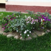 f5b2cc4015d6992b9bc955e55b9305a8