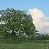 f5f4c79cf90f771261627b248c9ad253