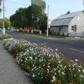 f810a5795818becffa4784e5c38feb95