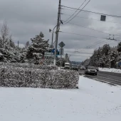 f8b1f36f3561e0d72de8acbef8f4c454