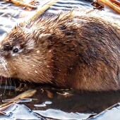 05f6d48db78d19b277323c91e3f4c384