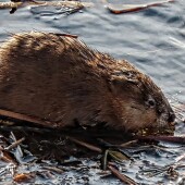 aebb3344380f2009633c6145a967a8e2