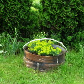 eb76a2ce70e294ce9c3bca99873f3a33