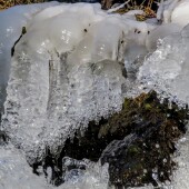 f816fd1e4af1f0c8770df09153ff5bae