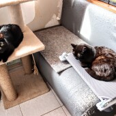 2a22a463b81760ee8b3f041f18fd6926