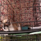 39aba7e9446a5e4ed4c5a1f6f4341fc3