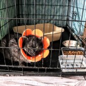 53a816146b75806fa95239c0dfcb22eb