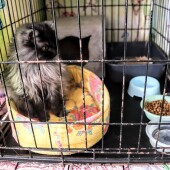 5e688973f2ed6a1408622d7c2f4462b2