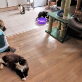 5f371f36999bce4fc6dbc6d7e8aa46bf