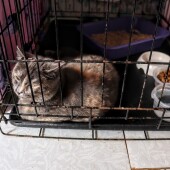 714526a41bd61a7ac93675d899872cc0