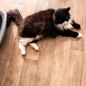 b4d2049d839a1fec60e606c770d187f0