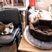 b723228ef47a88bf494f7f7892c817f8