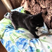 ce9ca8826cf4f8d39075e00a9e355f78